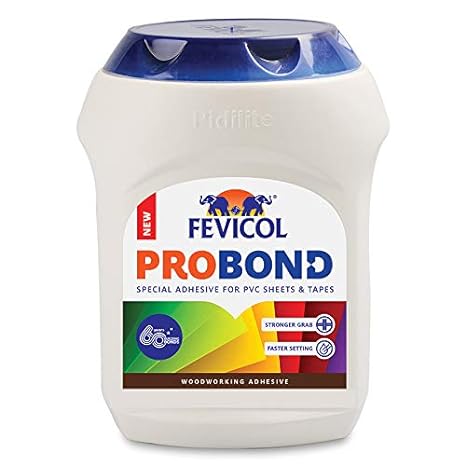 Fevicol Probond - Special Adhesive for Acrylic and PVC sheets| Heat Resistant Spreads easily 1 KG-Home Appliances-dealsplant