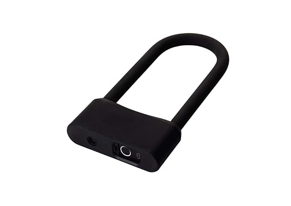 Ozone Pad Lock Oz-Fpl-11 (Black) Polished Finish-Internet Security-dealsplant